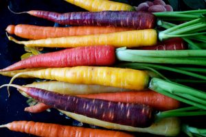 Carrot